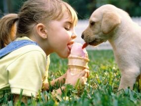 bir kız bir köpekle dondurma yer ve parazitlere bulaşır